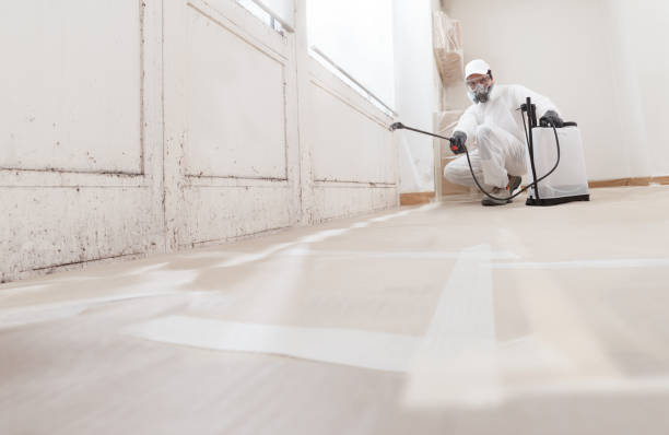 24/7 Emergency Crawl Space Mold Removal experts in Elmwood Park, IL