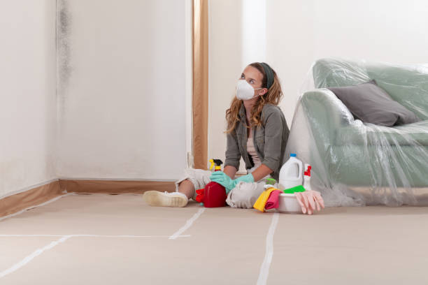 Reliable Crawl Space Mold Removal contractor in Elmwood Park, IL by WQB Mold Removal